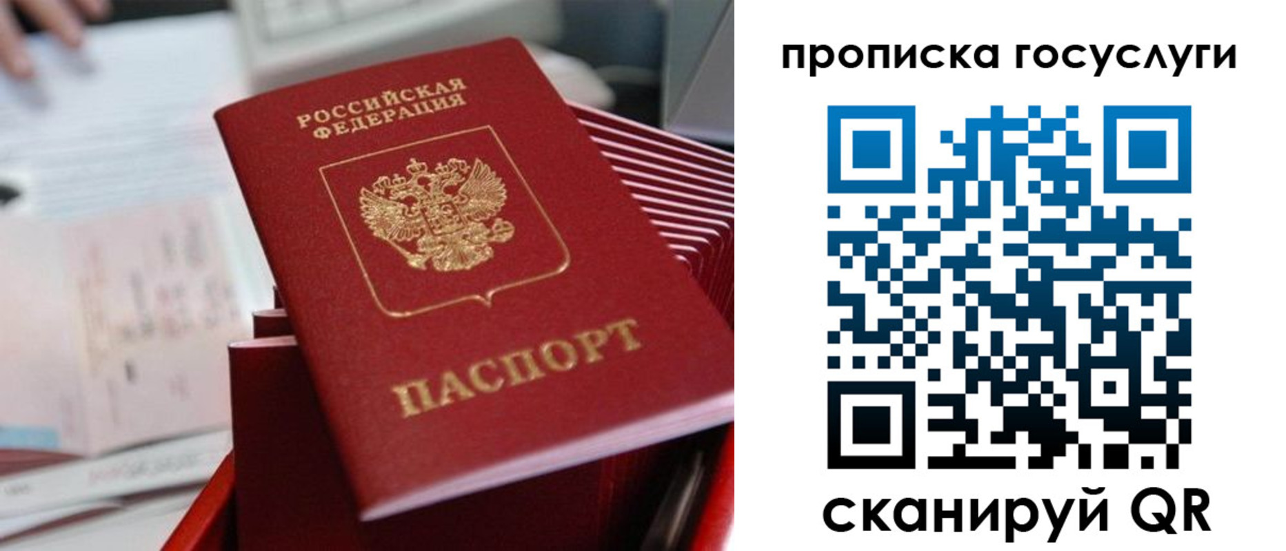 прописка законно в Покрове